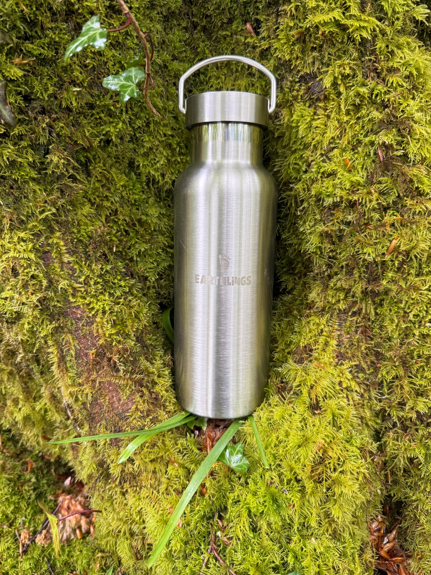 Insulated Stainless Steel Water Bottle - 500ml
