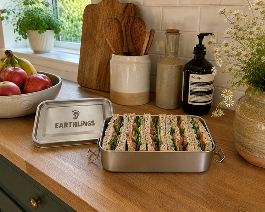 Single Compartment Lunchbox with Removable Dividers