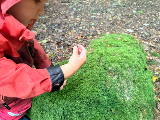 Travel and Exploration as Learning