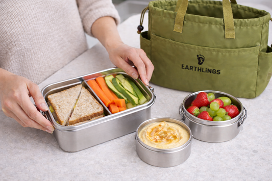 Stainless steel vs plastic lunchboxes for children