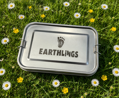 Single Compartment Lunchbox with Removable Dividers