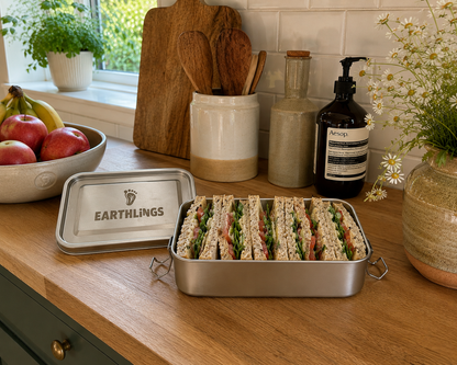 Single Compartment Lunchbox with Removable Dividers
