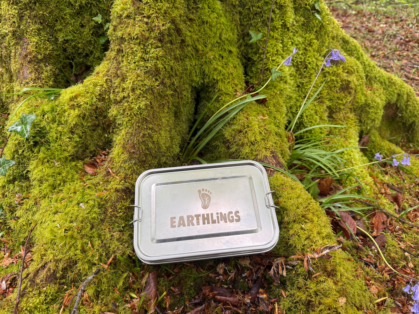Single Compartment Lunchbox with Removable Dividers