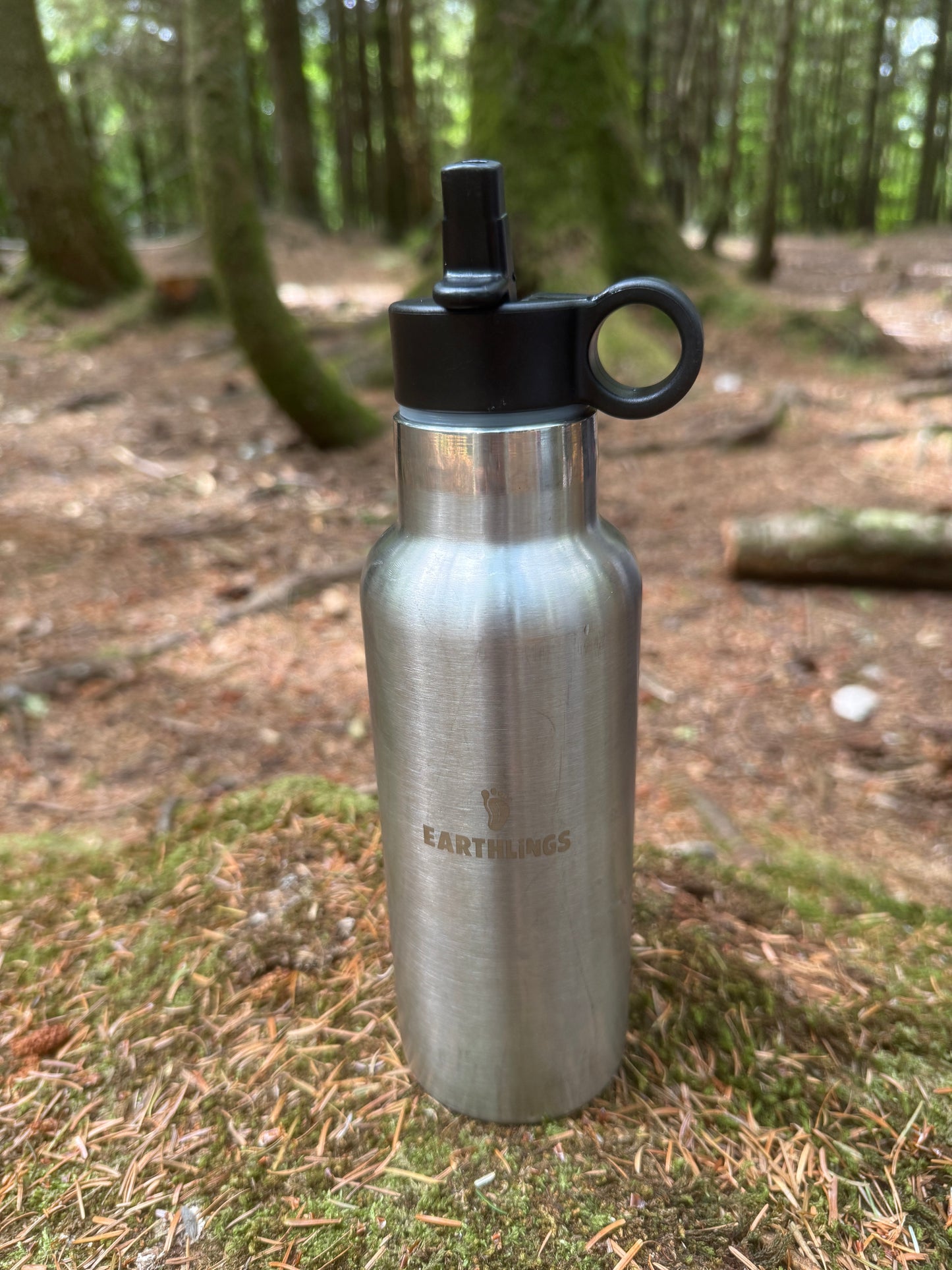 Insulated Stainless Steel Water Bottle - 500ml