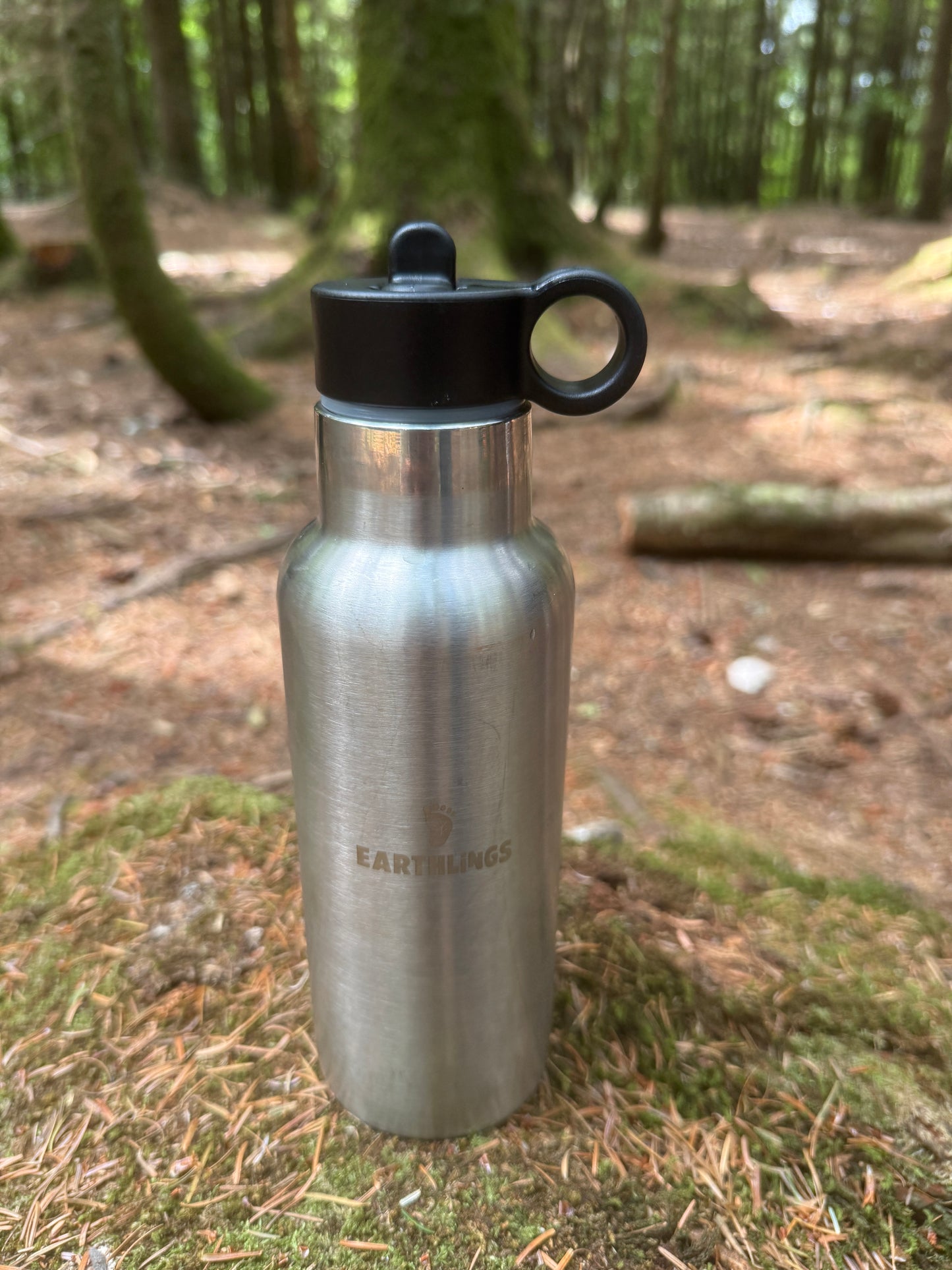 Insulated Stainless Steel Water Bottle - 500ml