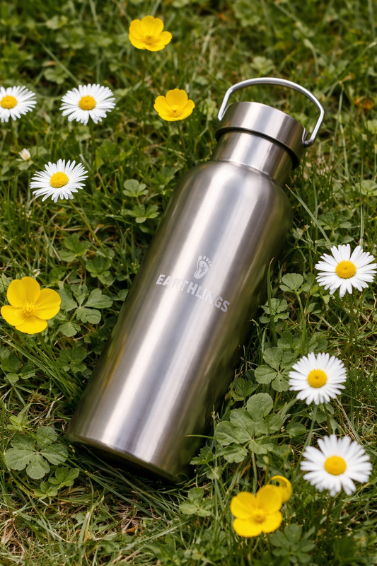 Insulated Stainless Steel Water Bottle - 500ml